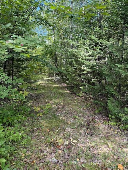 Residential Property for sale in Piscataquis County, Maine
