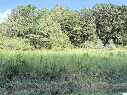 Ranch Property for sale in Calhoun County, Alabama
