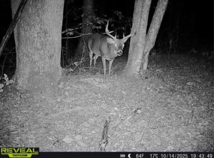 Farm Property for sale in Scioto County, Ohio