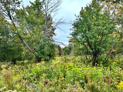 Farm Property for sale in Lewis County, New York