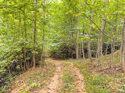 Ranch Property for sale in Carroll County, Virginia