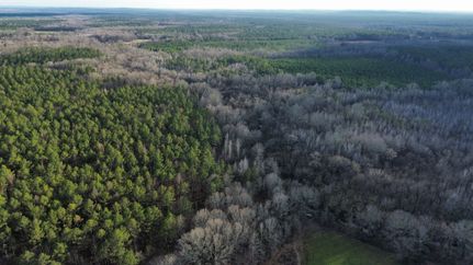 Timberland Property for sale in Wilcox County, Alabama