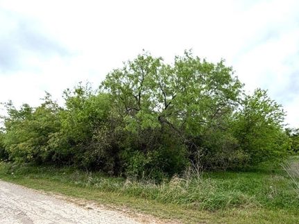 Residential Property for sale in Palo Pinto County, Texas