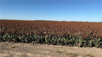 Recreational Property for sale in Meade County, Kansas