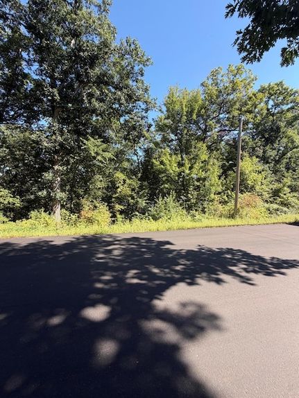 Timberland Property for sale in Sherburne County, Minnesota