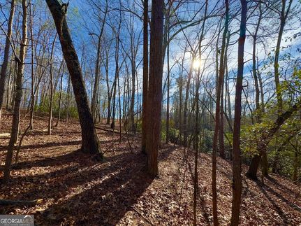Residential Property for sale in Pickens County, Georgia