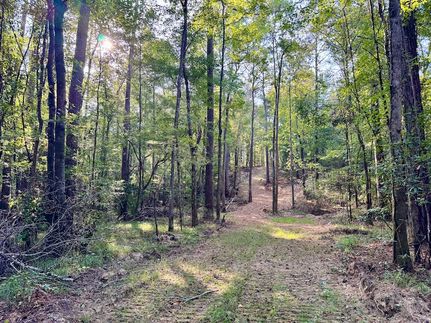 Farm Property for sale in Hale County, Alabama