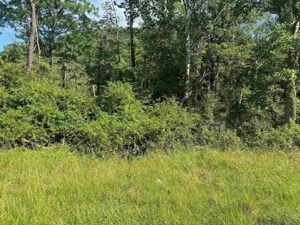 Undeveloped Land for sale in Augusta County, Virginia