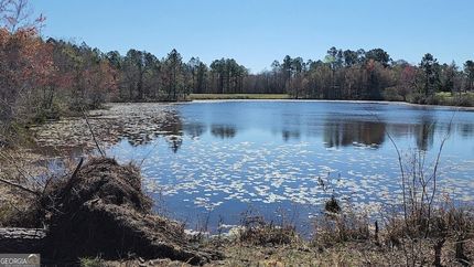 Recreational Property for sale in Toombs County, Georgia