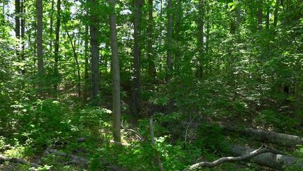 Recreational Property for sale in Hickman County, Tennessee