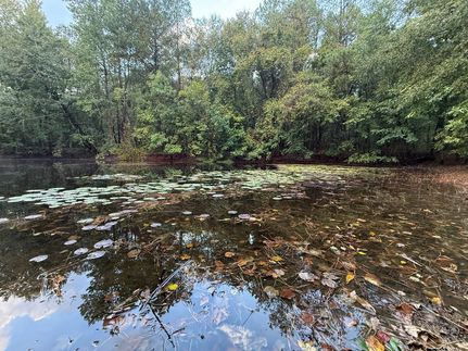 Ranch Property for sale in Attala County, Mississippi