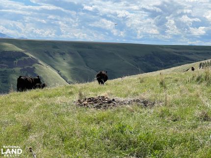 Farm Property for sale in Asotin County, Washington