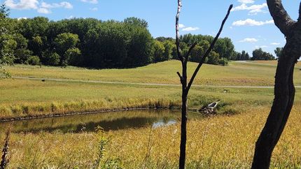 Ranch Property for sale in Olmsted County, Minnesota