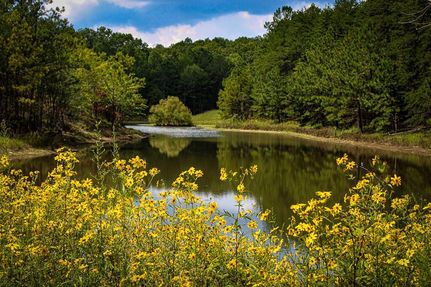 Recreational Property for sale in DeKalb County, Alabama