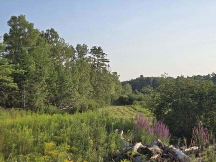 Farm Property for sale in Penobscot County, Maine