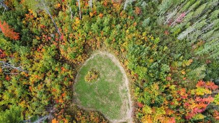 Farm Property for sale in Oneida County, Wisconsin