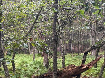 Farm Property for sale in Wayne County, Pennsylvania