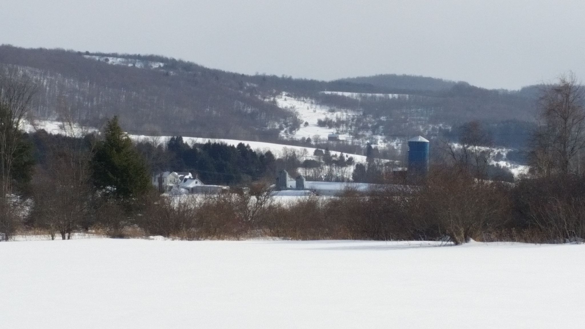 150 Acres, West Edmeston, NY 13485 Land and Farm