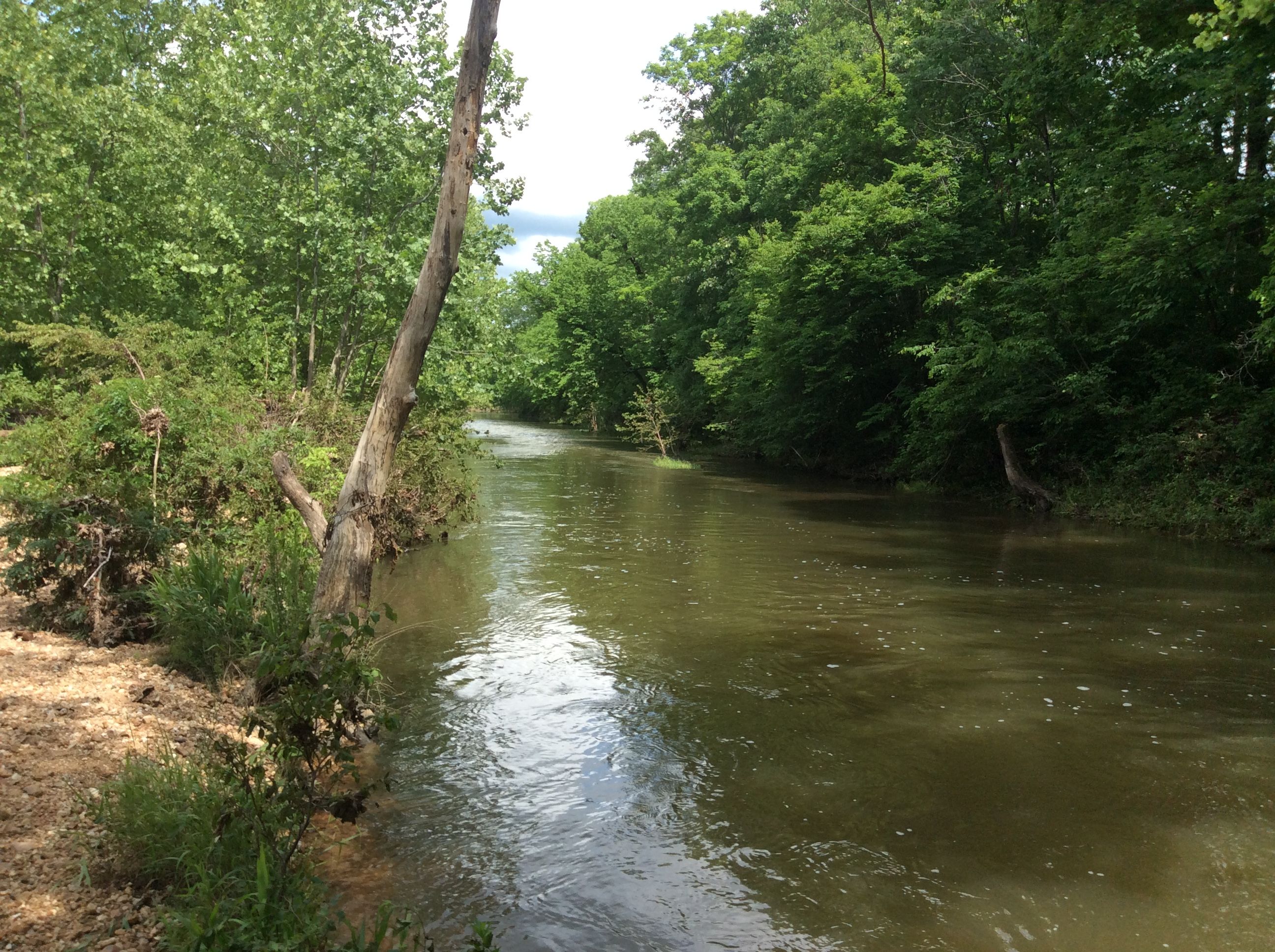 16863 Kingston Road Potosi, Potosi, MO 63634 Land and Farm