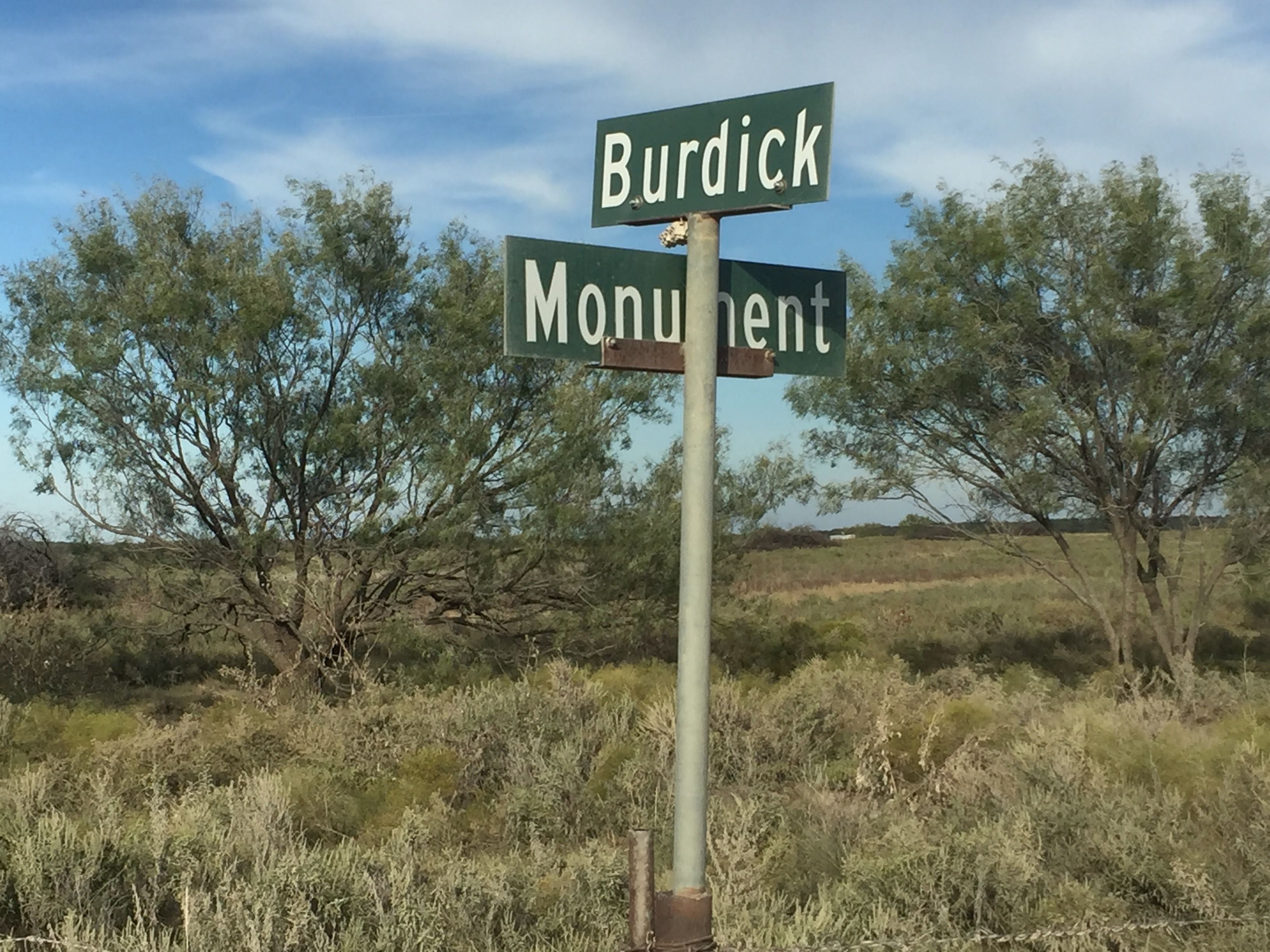 61 Acres, 264 Monument Road, Loving, TX 76460 Land and Farm