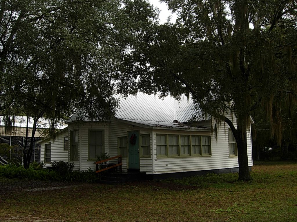 688 CR 3rd Ave. County Road 309, Welaka, FL 32193 Land and Farm