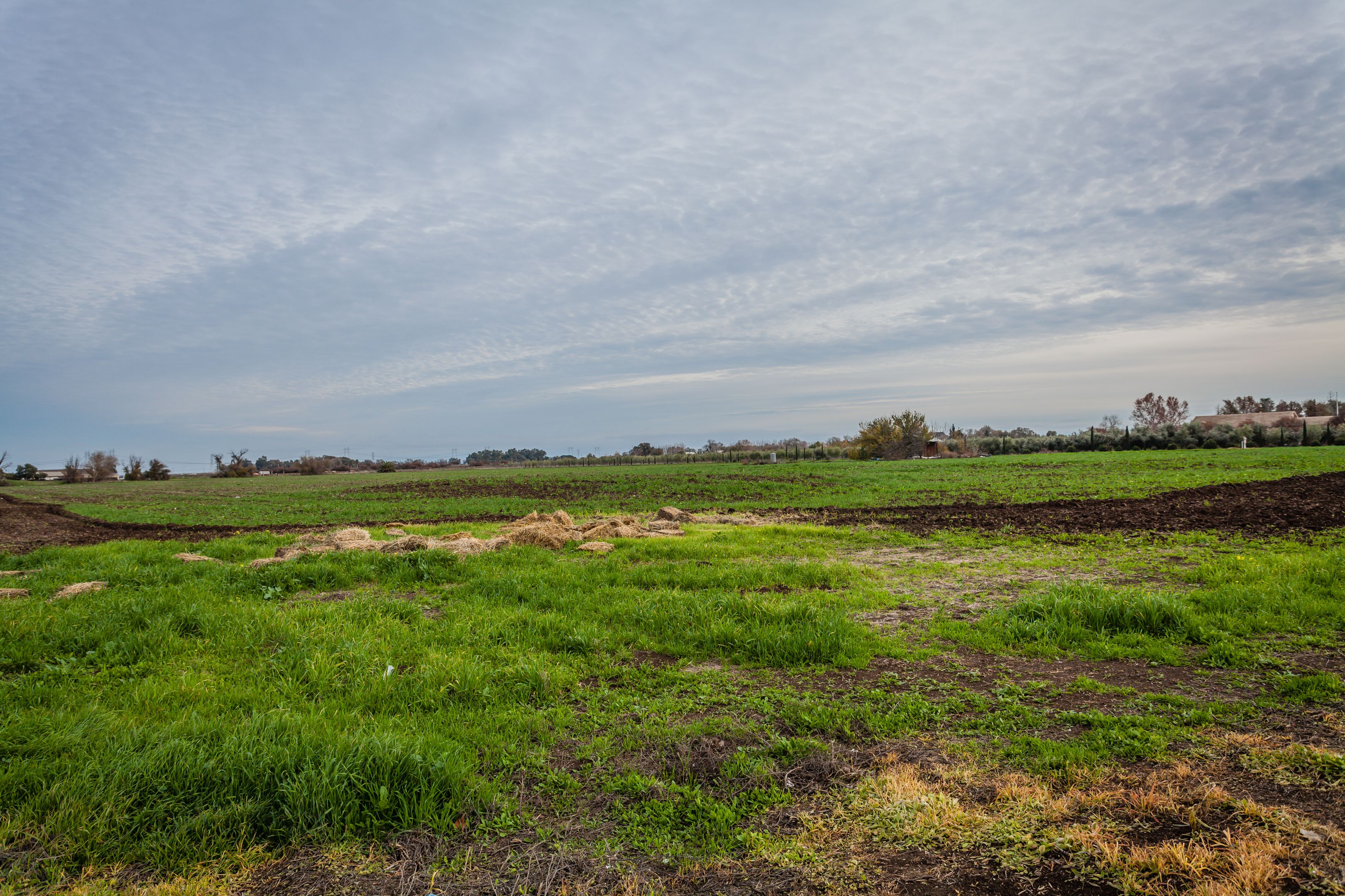 16.77 Acres, 3515 Willow Way Byron, Byron, CA 94505 Land and Farm