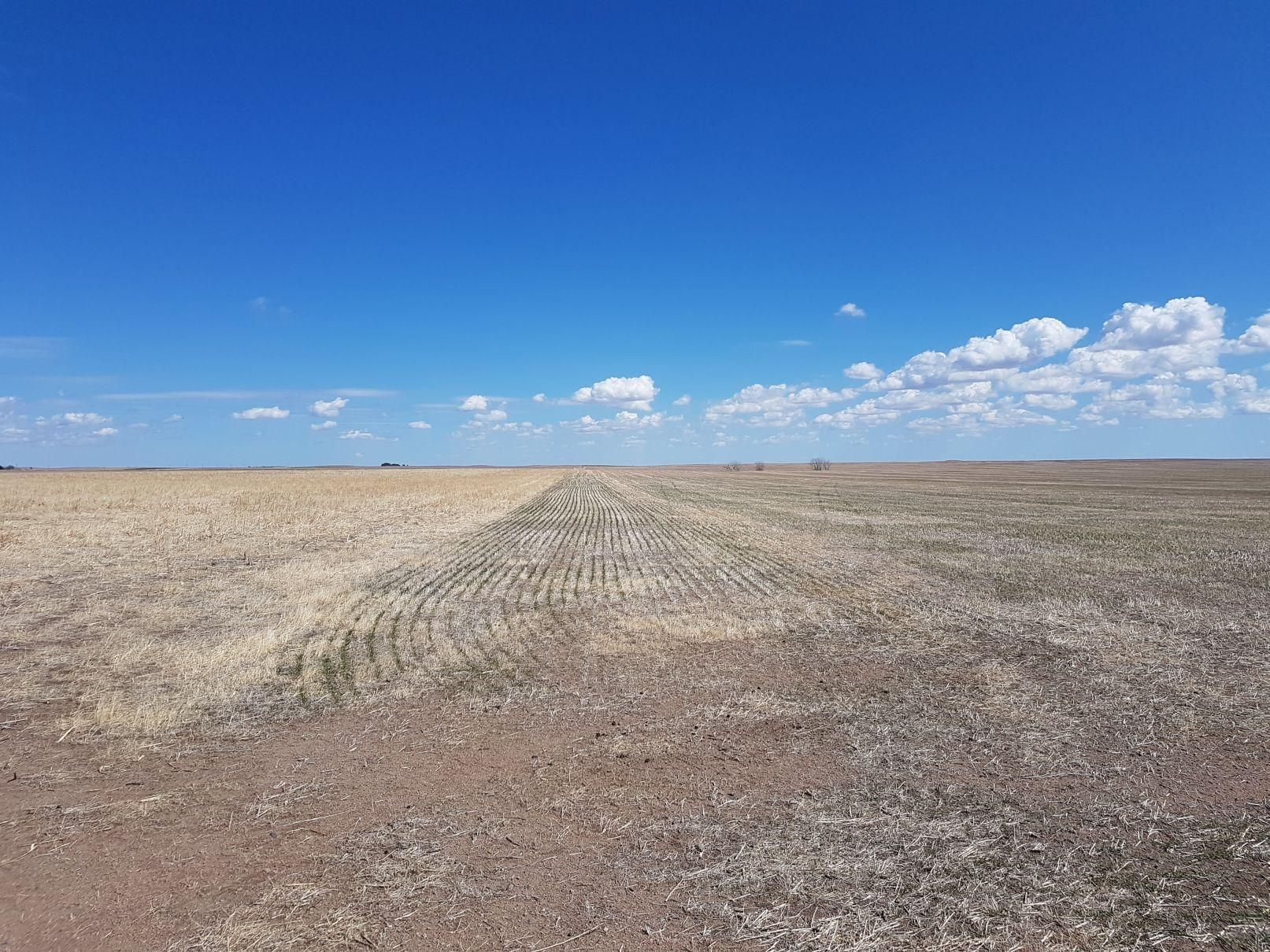160 Acres, Lodgepole, NE 69149 Land and Farm