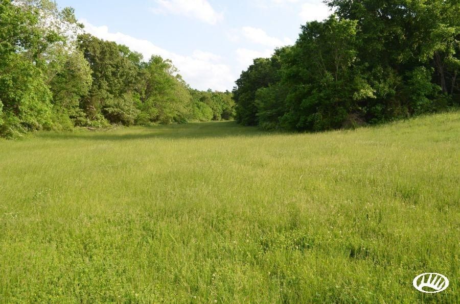 335 Acres, 429 State Highway U, Iberia, MO 65486 Land and Farm