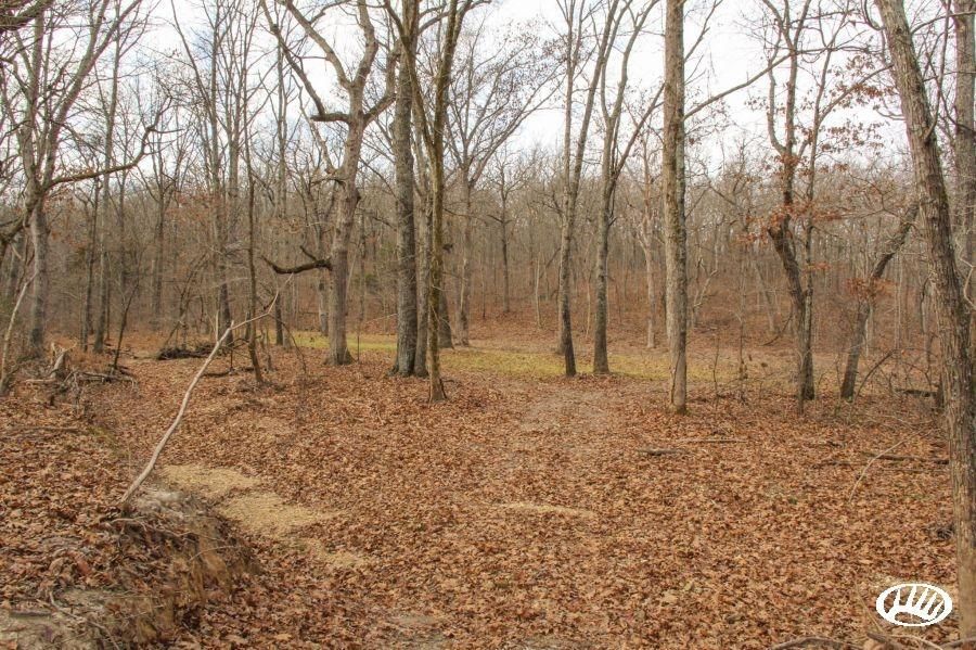 269 Acres, County Side Road, Ulman, MO 65083 Land and Farm