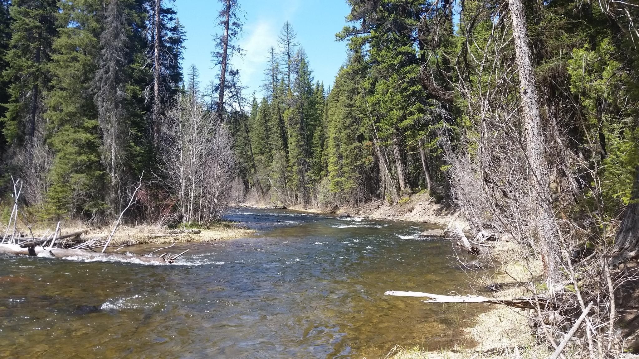 85 Acres, Hwy 83, Condon, MT 59826 Land and Farm