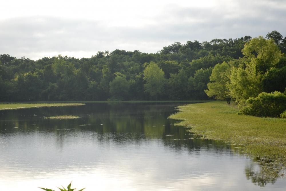 470 Acres, Menifee, AR 72107 Land and Farm