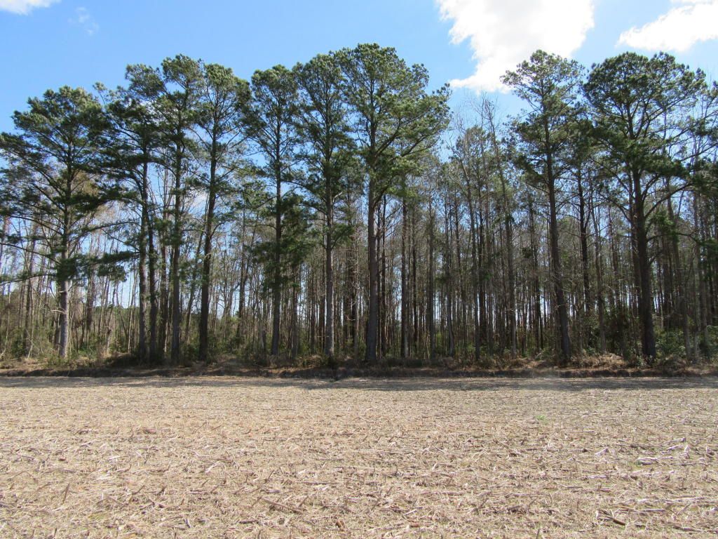 4.27 Acres, 250 Alligator Loop Road, Stonewall, NC 28583 Land and Farm