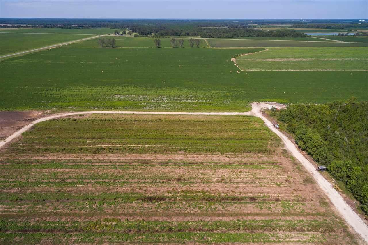 31 Acres, 1 LEWIS RD, Allentown, FL 32570 Land and Farm