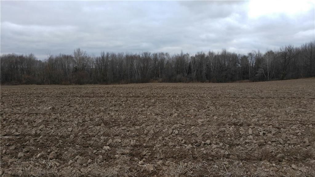 7.91 Acres, 0 115th Avenue, Boyd, WI 54768 Land and Farm