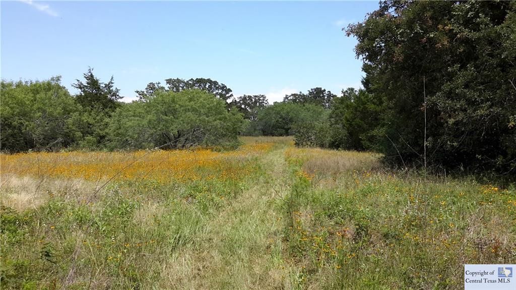 20 Acres, 441 County Road 441, Waelder, TX 78959 Land and Farm