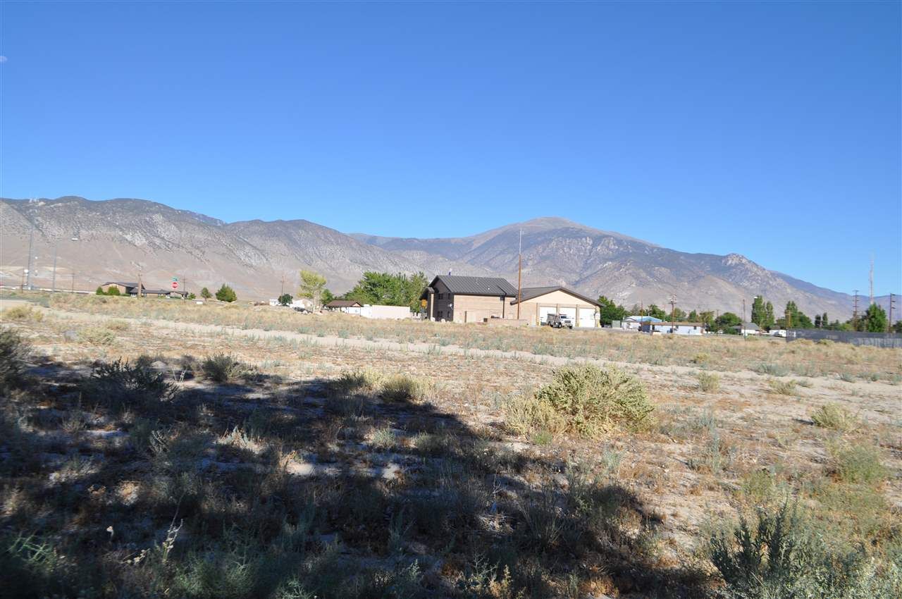 1.5 Acres, 295 Fir Street, Hawthorne, NV 89415 Land and Farm