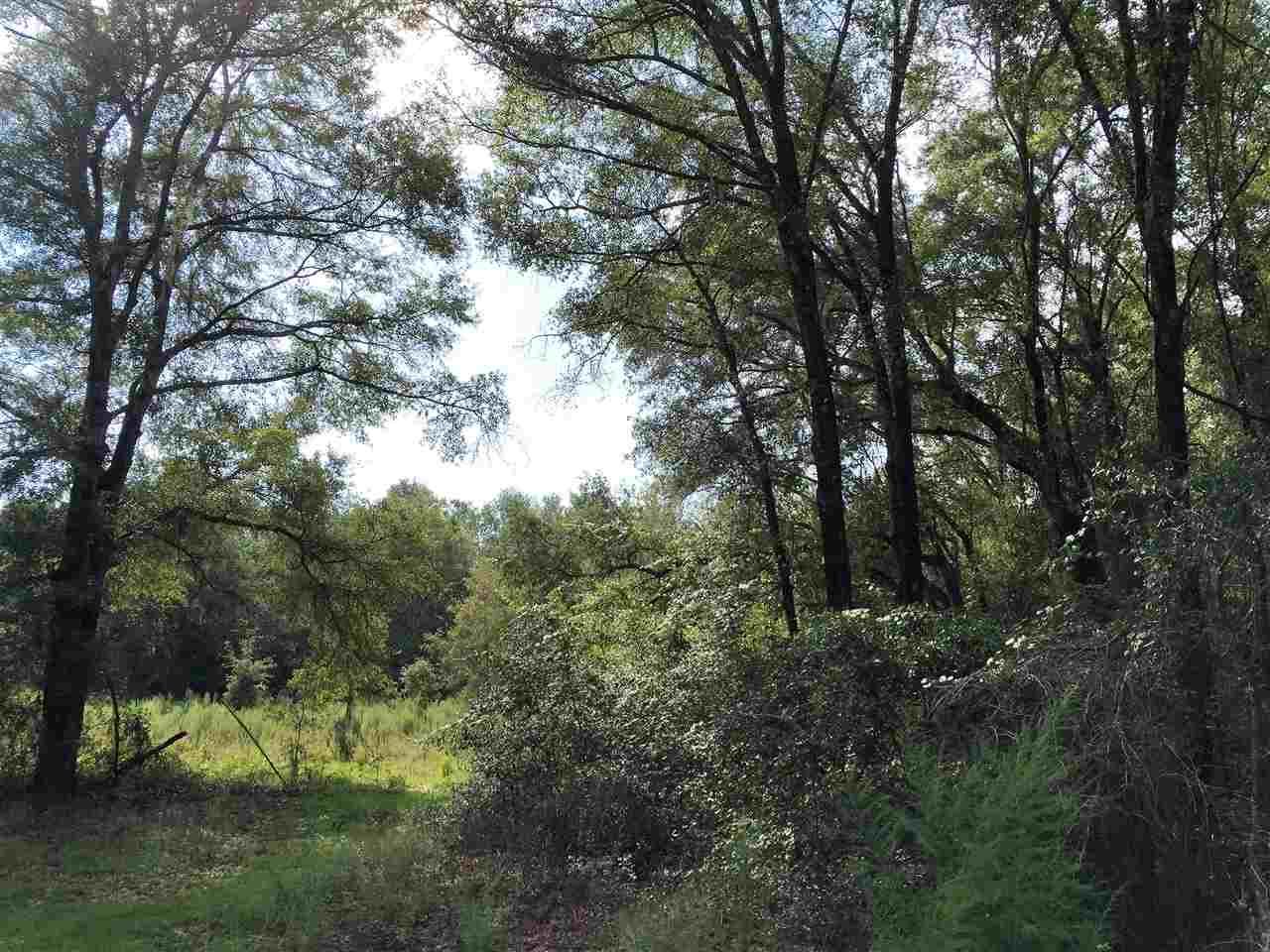 40 Acres, TBD NE 120 Street, Archer, FL 32618 Land and Farm