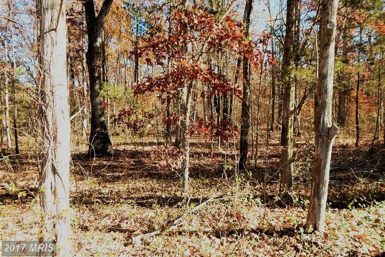 3.77 Acres, CARRICO MILLS ROAD, Brandy Station, VA 22714 Land and Farm