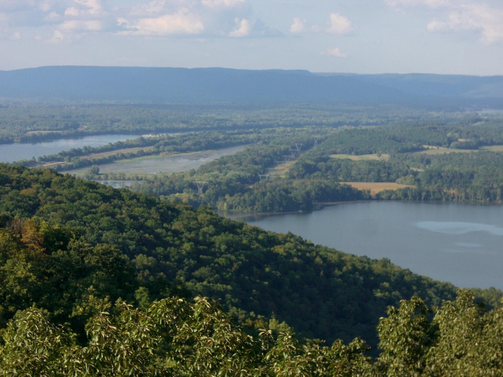 65 Acres, County Road 365, Pisgah, AL 35765 Land and Farm