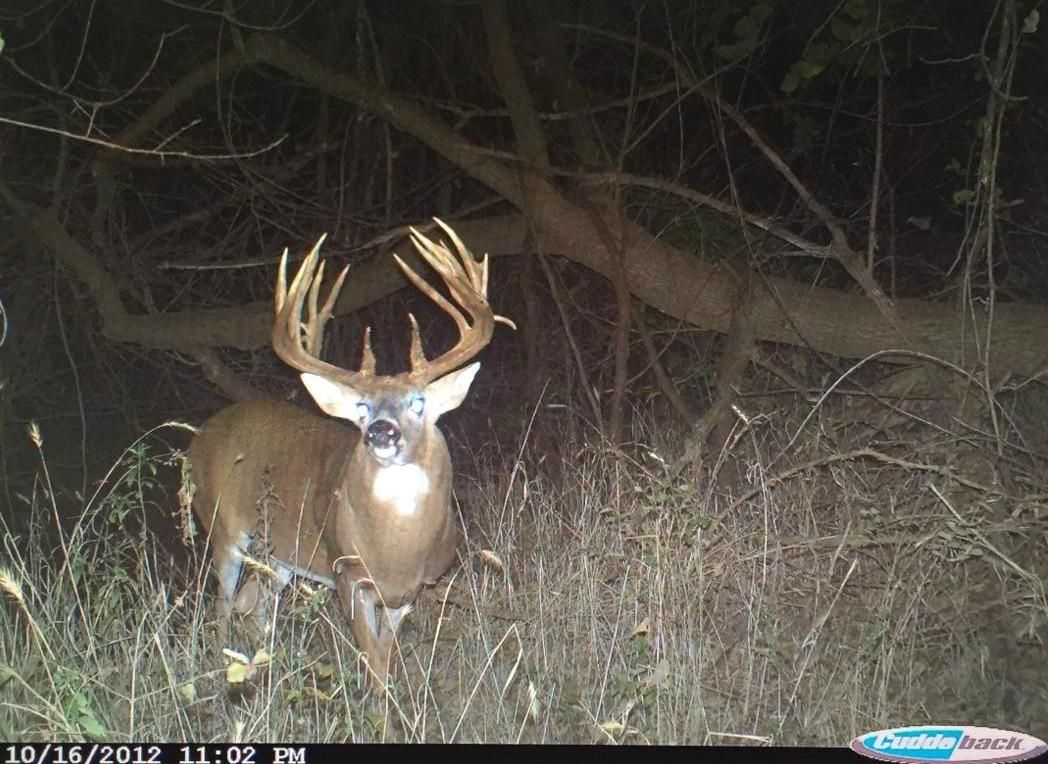 450 Acres, Centerville, IA 52544 Land and Farm