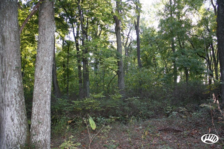 Dogwood Road, New Burnside, IL 62967 Land and Farm