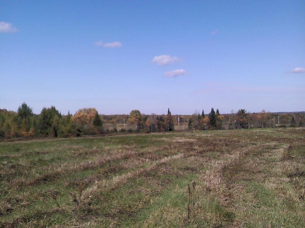 16.7 Acres, Hurricane Road, Norway, NY 13324 Land and Farm