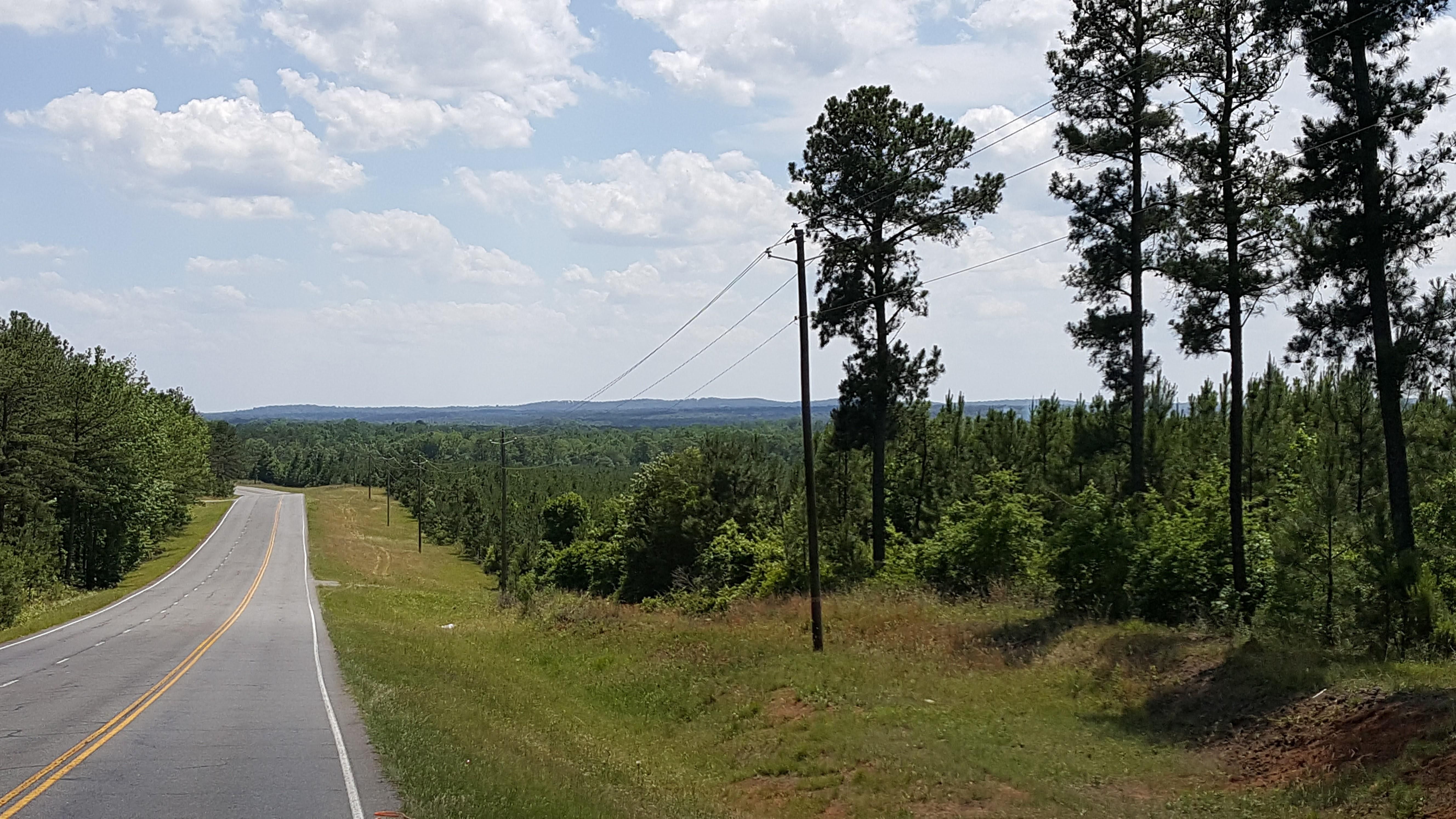 447 Acres, Trammell Mill Road, Shiloh, GA 31826 Land and Farm