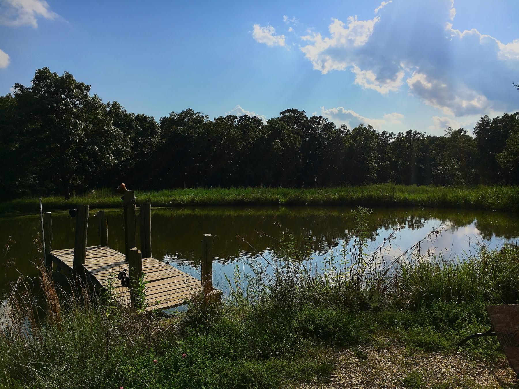 10 Acres, 827 SE 425 Road, Knob Noster, MO 65336 Land and Farm