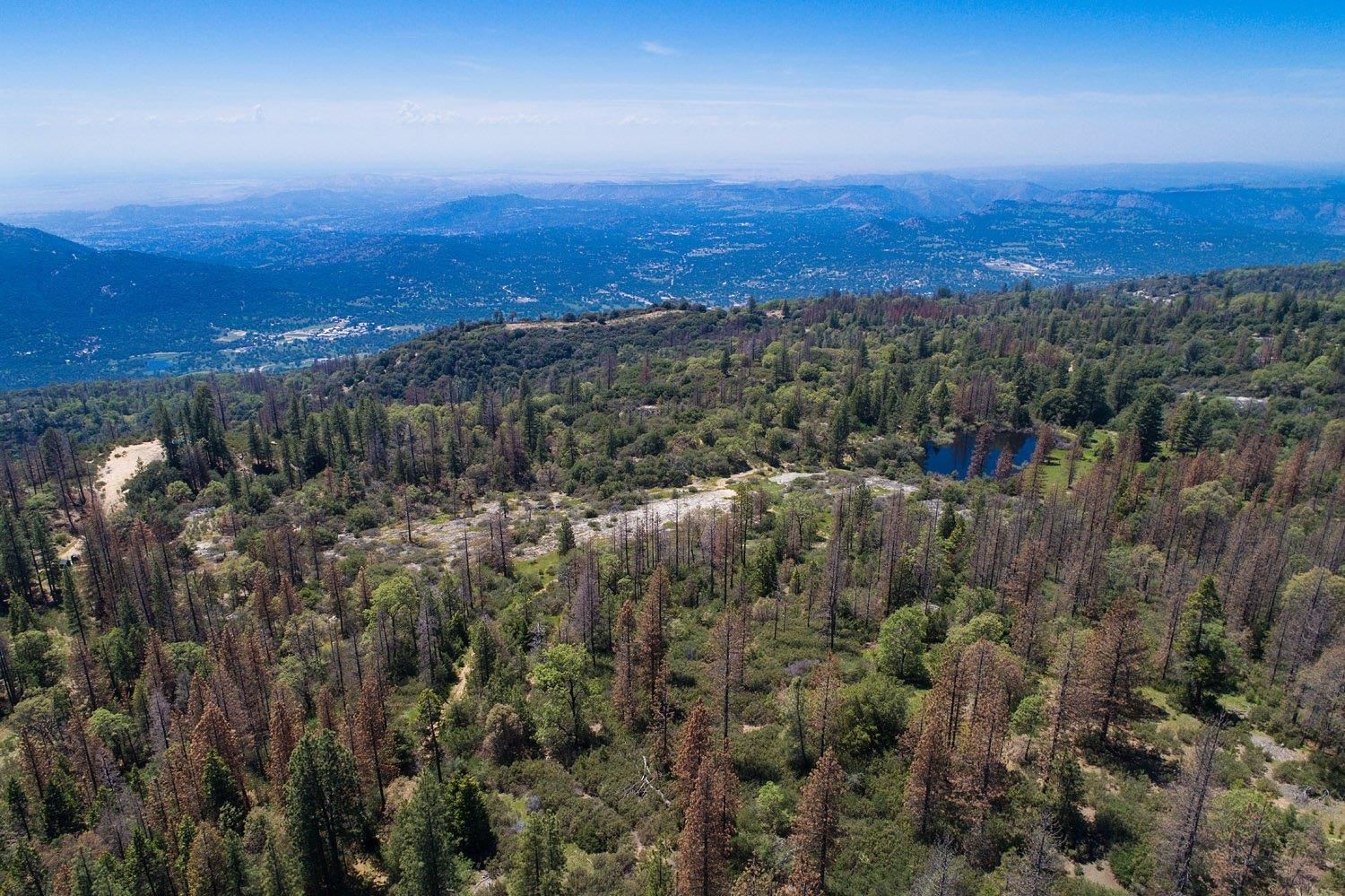 100 Acres, 100Acres Snow Road, Auberry, CA 93602 Land and Farm