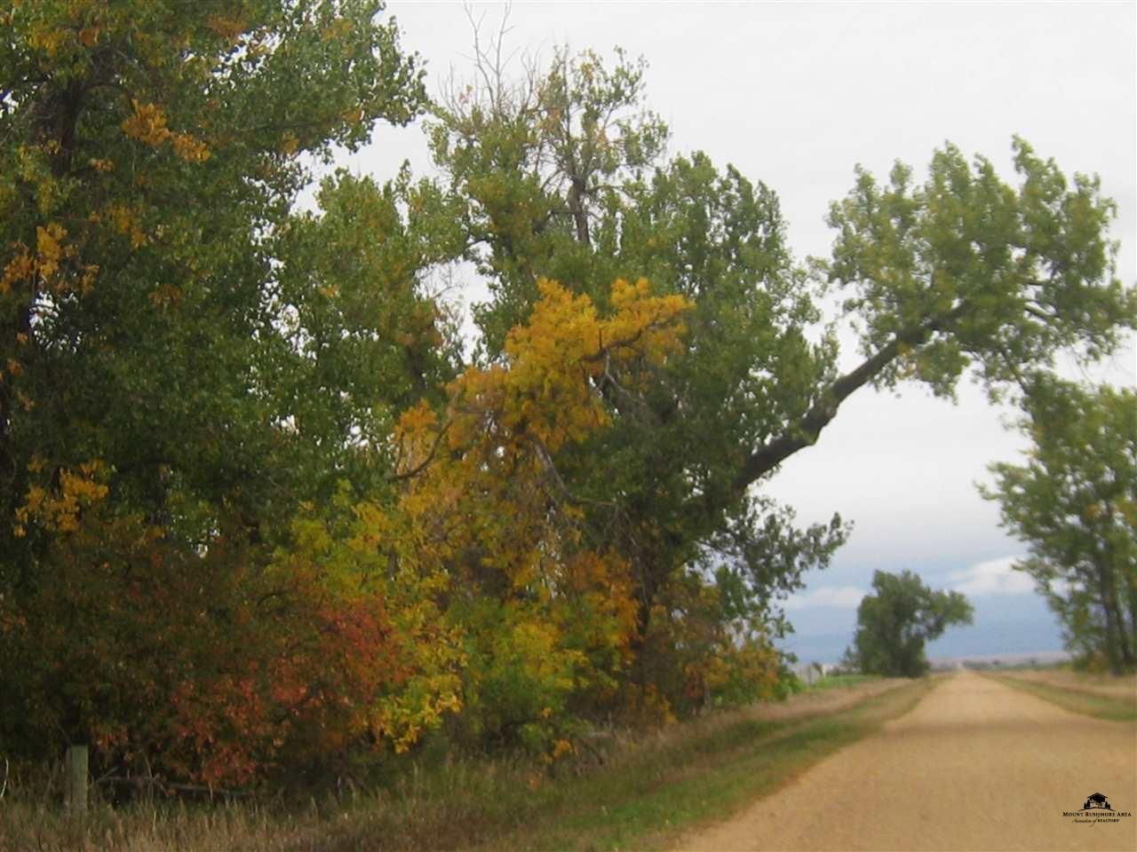 80 Acres, TBD, Nisland, SD 57762 Land and Farm