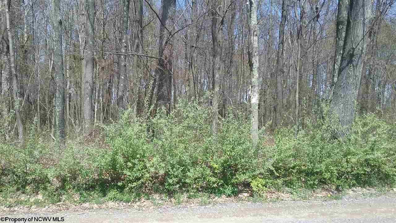 70 Acres, 00 Harmony Grove Road, Albright, WV 26519 Land and Farm
