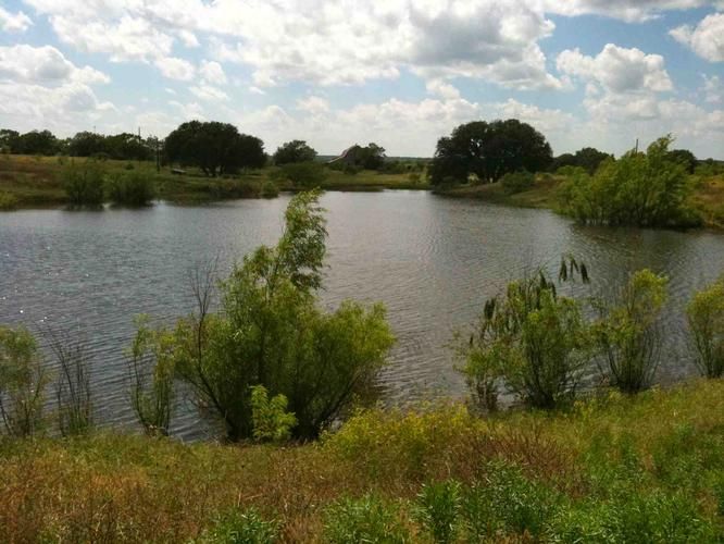 213.43 Acres, FM 1148, Breckenridge, TX 76424 Land and Farm