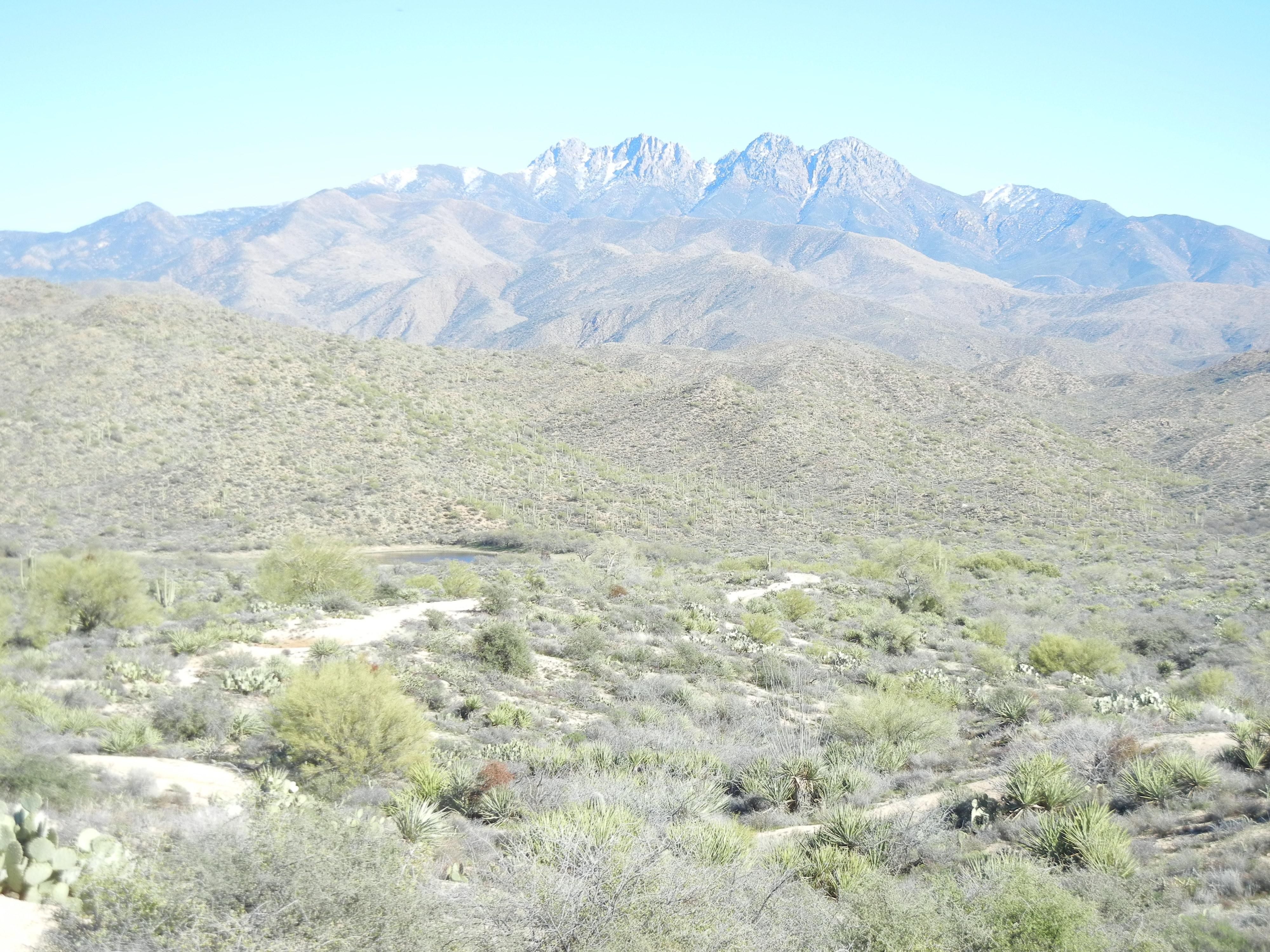 27843 East Mount Ord Drive, Sunflower, AZ 85263 Land and Farm