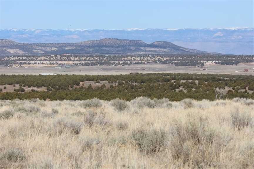 35.22 Acres, TBD Indian Camp Road, Glade Park, CO 81523 Land and Farm